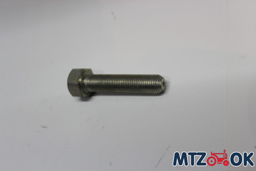 Болт рычага тормозов (пр-во МТЗ) 70-3503019 Болт рычага тормозов (пр-во МТЗ) 70-3503019