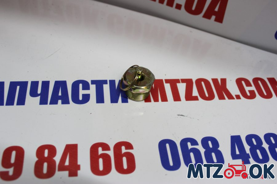 Кран слива конденсата М22х1.5 (пр-во ДК) 11.3513110 Кран слива конденсата М22х1.5 (пр-во ДК) 11.3513110