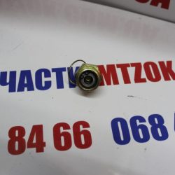 Кран слива конденсата М22х1.5 (пр-во ДК) 11.3513110 Кран слива конденсата М22х1.5 (пр-во ДК) 11.3513110