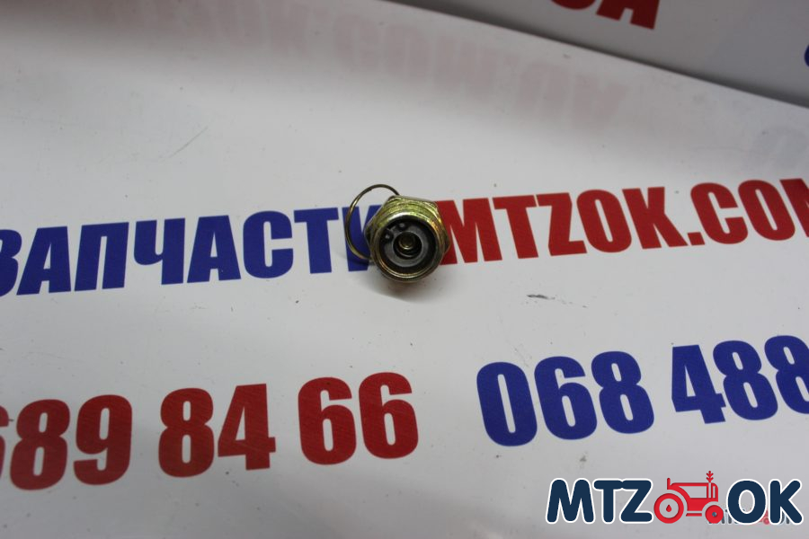 Кран слива конденсата М22х1.5 (пр-во ДК) 11.3513110 Кран слива конденсата М22х1.5 (пр-во ДК) 11.3513110