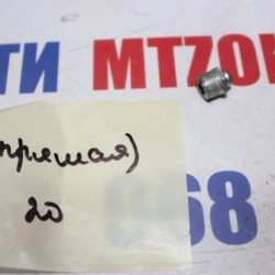 Масленка пресс 10мм