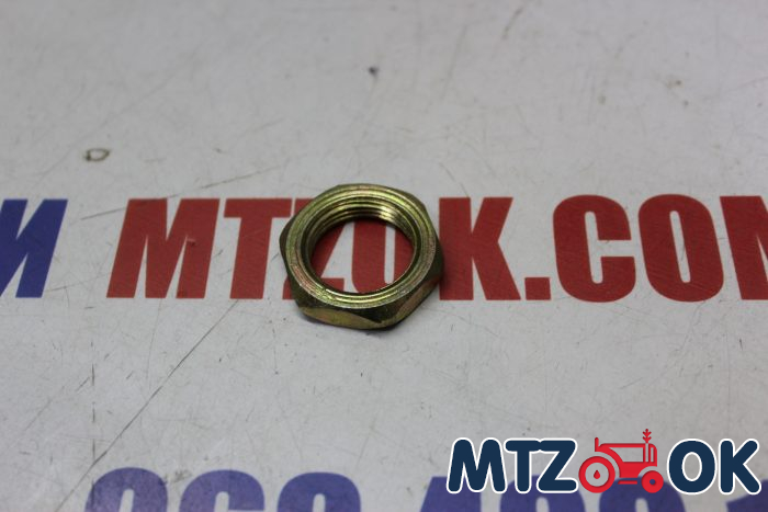 Гайка шруса 2-х стороннего гидроцилиндра М22х1,5 (пр-во Украина) Гайка шруса 2-х стороннего гидроцилиндра М22х1,5 (пр-во Украина)