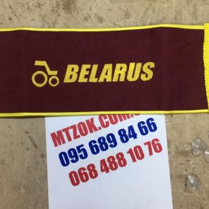 Табличка именная (45см.х15см) Беларус