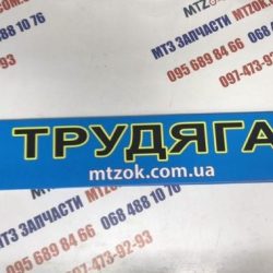 Наклейка "ТРУДЯГА" на лобовое стекло под заказ Наклейка "ТРУДЯГА" на лобовое стекло под заказ