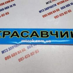 Наклейка "КРАСАВЧИК" на лобовое стекло