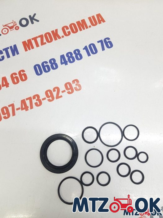 Ремкоплект коробки переключения передач КПП-корпус сцепления МТЗ-80А(р-к-38013) Ремкоплект коробки переключения передач КПП-корпус сцепления МТЗ-80А(р-к-38013)