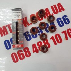 Сальник клапанов к-т (маслосъемные колпачки) Д 240 (красная) (Премиум) Сальник клапанов к-т (маслосъемные колпачки) Д 240 (красная) (Премиум)