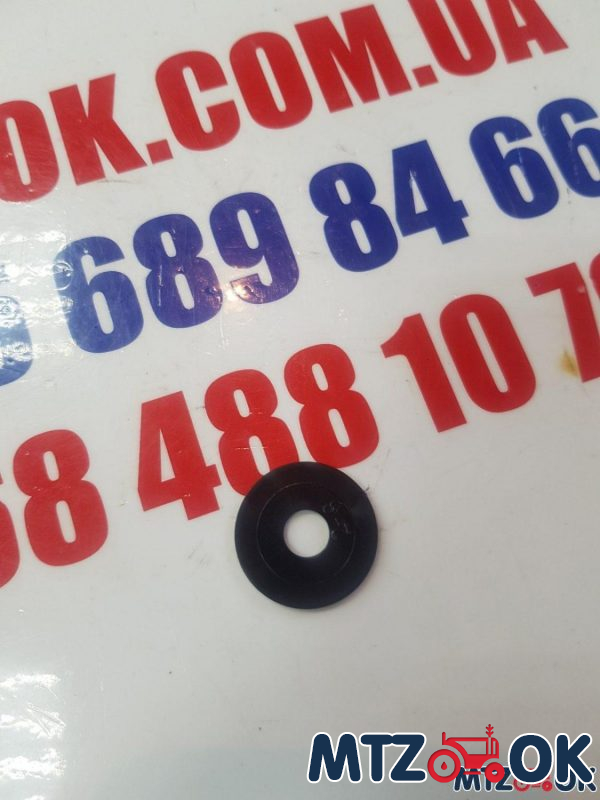 Шайба пластик под петлю безрамочного окна (С8.01.019) Шайба пластик под петлю безрамочного окна (С8.01.019)