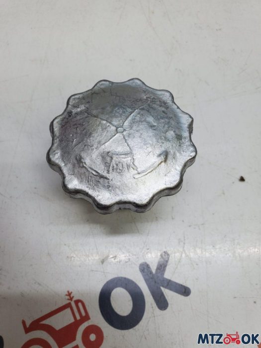 Крышка патрубка в сб. с кольцом упл. (пр-во Украина) А19.01.100 Крышка патрубка в сб. с кольцом упл. (пр-во Украина) А19.01.100