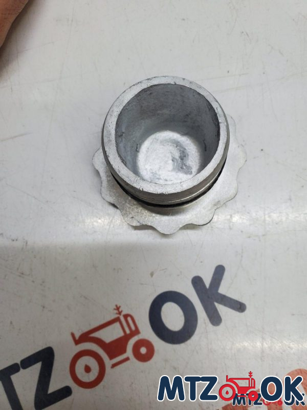 Крышка патрубка в сб. с кольцом упл. (пр-во Украина) А19.01.100 Крышка патрубка в сб. с кольцом упл. (пр-во Украина) А19.01.100