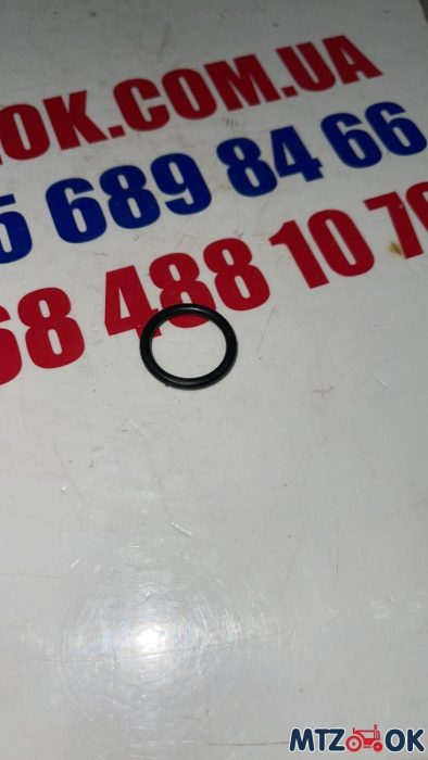 Кольцо резиновое 030-025-30-1-4 ГОСТ9833-73 Кольцо резиновое 030-025-30-1-4 ГОСТ9833-73