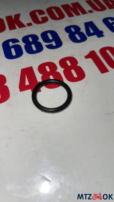 Кольцо резиновое 030-025-30-1-4 ГОСТ9833-73 Кольцо резиновое 030-025-30-1-4 ГОСТ9833-73