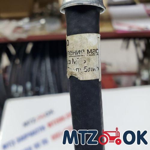 Гайка вала вторичного (пр-во БЗТДиА) 50-1701253-01 Гайка вала вторичного (пр-во БЗТДиА) 50-1701253-01