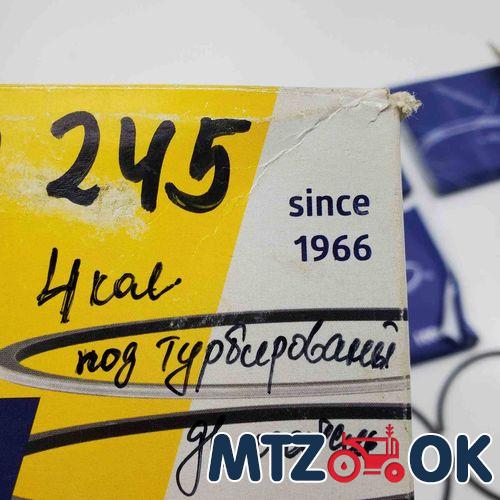 Гильзо-комплект Д 240 (ГП+5 к.+38палец+уплот.силикон) черная гильза ЕВРО 0 (пр-во Zlotecki. Польша) 240-1000108-С5 Польша Гильзо-комплект Д 240 (ГП+5 к.+38палец+уплот.силикон) черная гильза ЕВРО 0 (пр-во Zlotecki. Польша) 240-1000108-С5 Польша