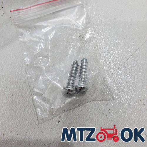 Болты брызговика переднего МТЗ к-т 8шт. Болты брызговика переднего МТЗ к-т 8шт.